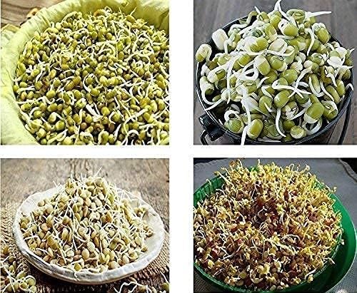 Plastic Sprout Maker Box Grocery 4 Layer Container